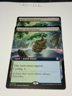 Magic the Gathering MTG Rain-Slicked Copse x2 Rare Extended Cards NM/M Comm - Image 1