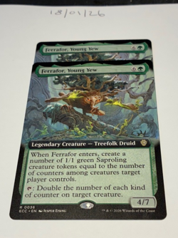 Magic the Gathering MTG Ferrafor, Young Yew x2 Rare Extended Cards NM/M Comm - Image 1
