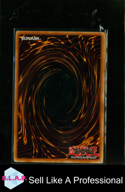 TRIANGLE ECSTASY SPARK KONAMI RDS-EN039 YU-GI-OH! 1ST EDITION HOLO ENGLISH RDS - Image 2