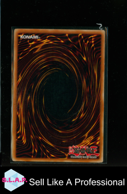 GOTTLICHER ZORN KONAMI RDS-DE050 RUSH DUEL FALLENKARTE DEUTSCH GERMAN YUGIOH - Image 2