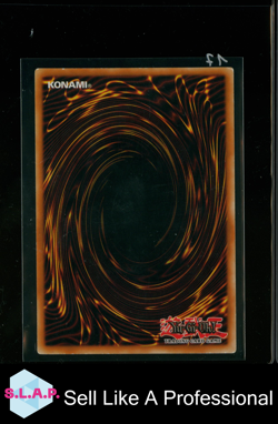 TOPF DER GIER KONAMI DPKB-DE029 DUELIST PACK KAIBA BASE 1996 GERMAN YUGIOH - Image 2