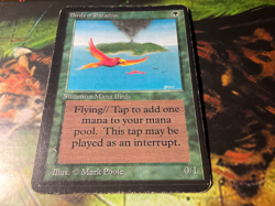 Birds of Paradise - MTG - Alpha - Image 2