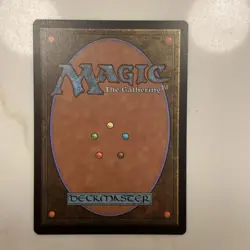 Tidal Barracuda Commander 2020 Regular - Image 2