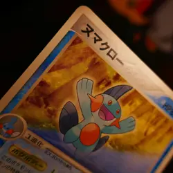 LP/MP JAPANESE Pokemon MUDKIP+MARSHTOMP+SWAMPERT Card Deck 002/004/005/006 019 - Image 3