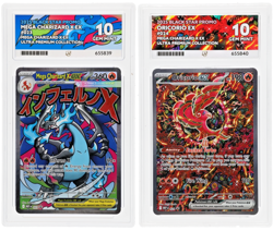 ACE 10 Pokemon TCG Mega Charizard X ex 023 & Oricorio ex 024 UPC Promo - Image 2