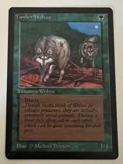 Magic the Gathering MTG Beta Timber Wolves NM (Beta Bob) - Image 1