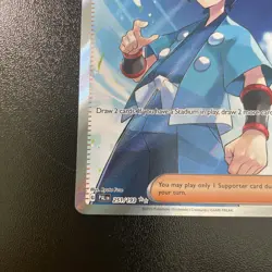 Falkner Pokemon TCGScarlet & Violet Paldea Evolved 251/193 Holo Full Art - Image 5