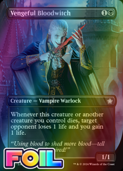 x1 Vengeful Bloodwitch FDN Foundations MTG 325 FOIL UNCOMMON BORDERLESS M/NM 1x - Image 1