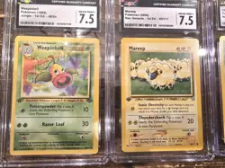 POKEMON Graded Card Lot 7 Slabs Mixed Lot CGC Vintage ALL 1st Edition Neo Jungle 636996769739 - Image 4