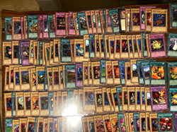 grosse YuGiOh Sammlungs - Auflosung | TCG Sammel - Karten mit vielen Holos #4 - Image 4