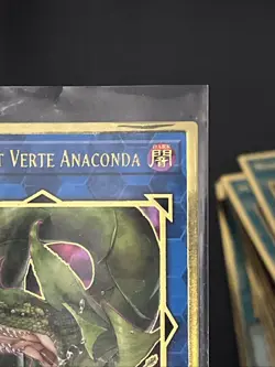 Predaplant Verte Anaconda Gold Rare MGED-EN036 Yu-Gi-Oh! - Image 2