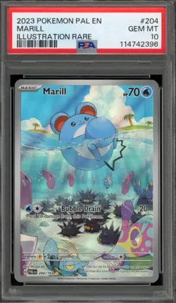 Pokemon Marill Paldea Evolved Illustration Rare #204 PSA 10 Gem Mint - Image 1
