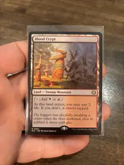 Blood Crypt MINT 262 Lorwyn Eclipsed ECL MTG Regular Rare Land Unplayed Paquette - Image 1