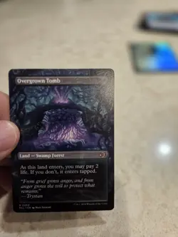 Overgrown Tomb Borderless #350 Rare - MTG Lorwyn Eclipsed ECL PACK FRESH - Image 2