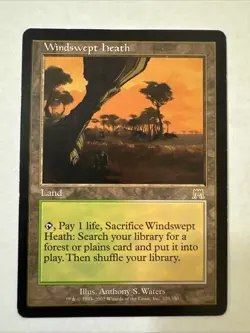 Windswept Heath - MTG Onslaught (ONS) - Image 1