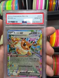 Pre En-Prismatic Evolutions Surprise Box Eevee Ex #075 PSA 10 Pokemon Tcg Card - Image 5