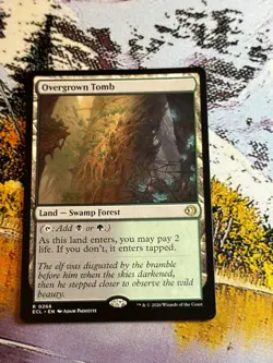 Overgrown Tomb - MTG ECL Lorwyn Eclipsed - NM/MINT - Image 2