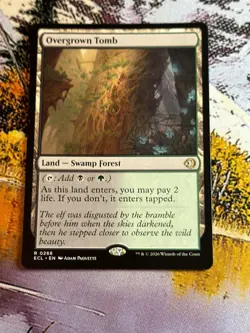 Overgrown Tomb - MTG ECL Lorwyn Eclipsed - NM/MINT - Image 3