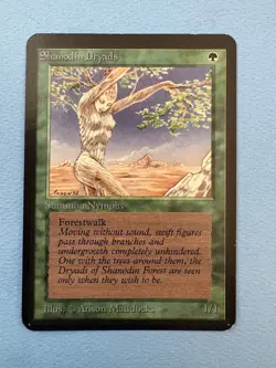 MTG Alpha Edition Shanodi Dryad! 1993 Vintage Magic! - Image 1