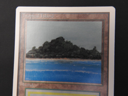 Tropical Island LP [Unlimited] Mtg Magic Free Priority Mail! - Image 3