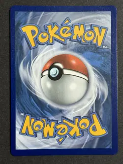 Shadow Rider Calyrex VMAX 204/198 Rainbow Rare Chilling Reign Pokemon NM/MINT - Image 2