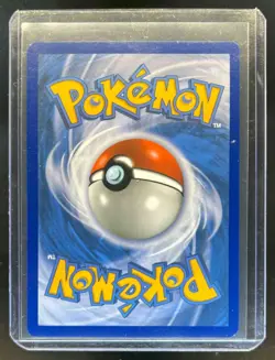 2016-19 Pokemon SM Black Star Promos Eevee #SM242 - Image 2