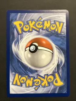 Pokemon TCG Rapidash Silver Tempest 022/195 Holo Rare NM - Image 2