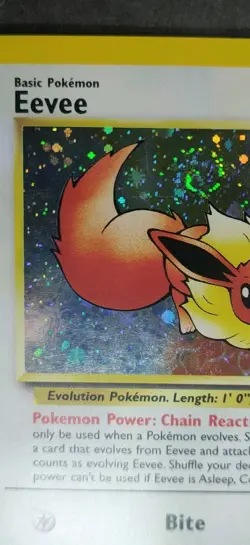 Holographic WOTC Black Star Promotional Pokemon Card: Eevee #11 - Image 4