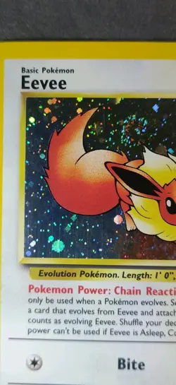 Holographic WOTC Black Star Promotional Pokemon Card: Eevee #11 - Image 5
