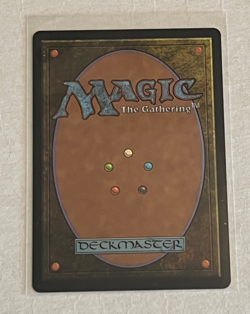 MTG Tam Mindful First-Year - Extended Art - Lorwyn Eclipsed #380 - Image 2