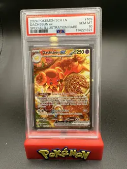 2024 POKEMON SCR EN-STELLAR CROWN SPECIAL ILLUSTRATION RARE DACHSBUN EX PSA 10 - Image 1