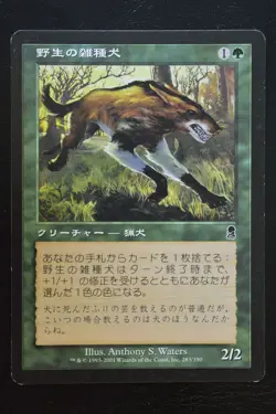 Magic The Gathering MTG WILD MONGREL JAPANESE Odyssey LP Lightly Played - Image 1