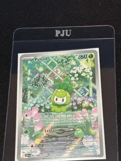 Petilil 091/086 Sv: Black Bolt Holo Pokemon Full Art English - Image 3