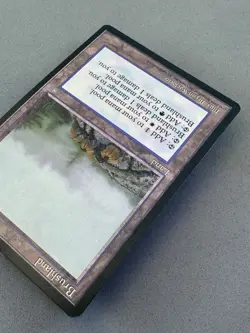 Brushland Ice Age MTG-Never Played Near Mint-Vintage Dual Mana Pain Land - Image 5