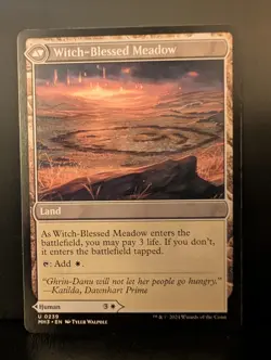 MH3 WITCH ENCHANTER WITCH-BLESSED MEADOW (Lightly Played, Near Mint) - Image 2