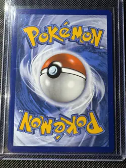 Pokemon TCG Horsea 067/064 Shrouded Fable Holo Illustration Rare Card - Image 2