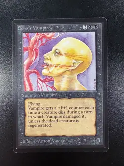 MTG Sengir Vampire - BETA 1993 Magic The Gathering LP - Image 3