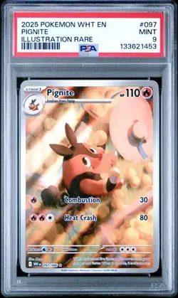 PSA 9 Pignite #097/086 Illustration Rare - White Flare Pokemon TCG Card - Image 3
