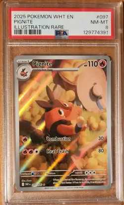 PSA 8 Pokemon TCG Pignite TCG White Flare Illustration Rare Card 097/086 SV - Image 1