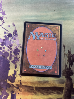 MTG-Duskmourn: House of Horror; Hushwood Verge, NM, Regular Finish #261 - Image 2