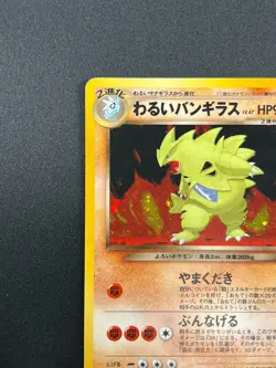 [NM] Dark Tyranitar Pokemon Card Japanese No.248 Neo Destiny Vintage Holo 18J15 - Image 4