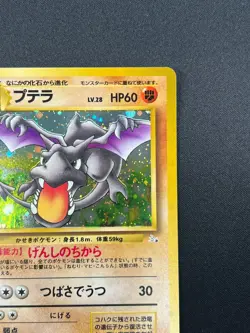 [NM] Aerodactyl Pokemon Card Japanese No.142 Fossil Set Vintage Holo 18J14 - Image 5