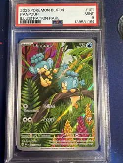 Pokemon TCG Panpour Black Bolt Illustration Card 101/086 PSA 9 Mint - Image 1