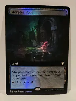 Magic MTG - Morphic Pool 603 (Extended Art) Foil - Battle for Baldur's Gate - Image 3
