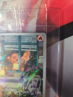 Charmander - SVP044 - SVP Black Star Promos - SEALED NM, English Pokemon SV Blac - Image 3