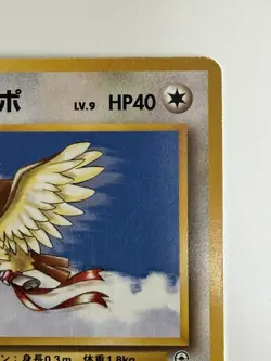 Koga's Pidgey No.016 Gym Challenge vintage old back Japanese Pokemon Card - Image 3