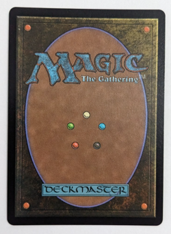 A Realm Reborn (566) Chocobo Track Foil! Borderless, Final Fantasy Magic MtG NM! - Image 3