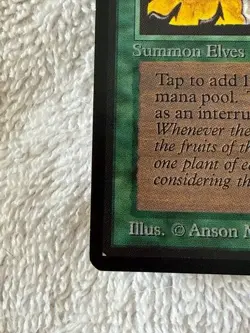 MTG 1993-Beta Limited Edition-Original-untouched-Llanowar Elves - Image 3