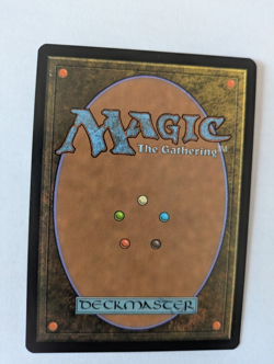 Misty Rainforest Zendikar MTG NM Free shipping with tracking - Image 2