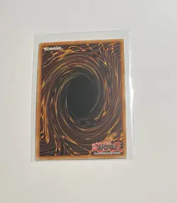 Yu-Gi-Oh! Dracotail Phryxul #DOOD-EN023 1st Edition Secret Rare (NM) - Image 2